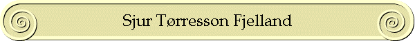 Sjur Tørresson Fjelland